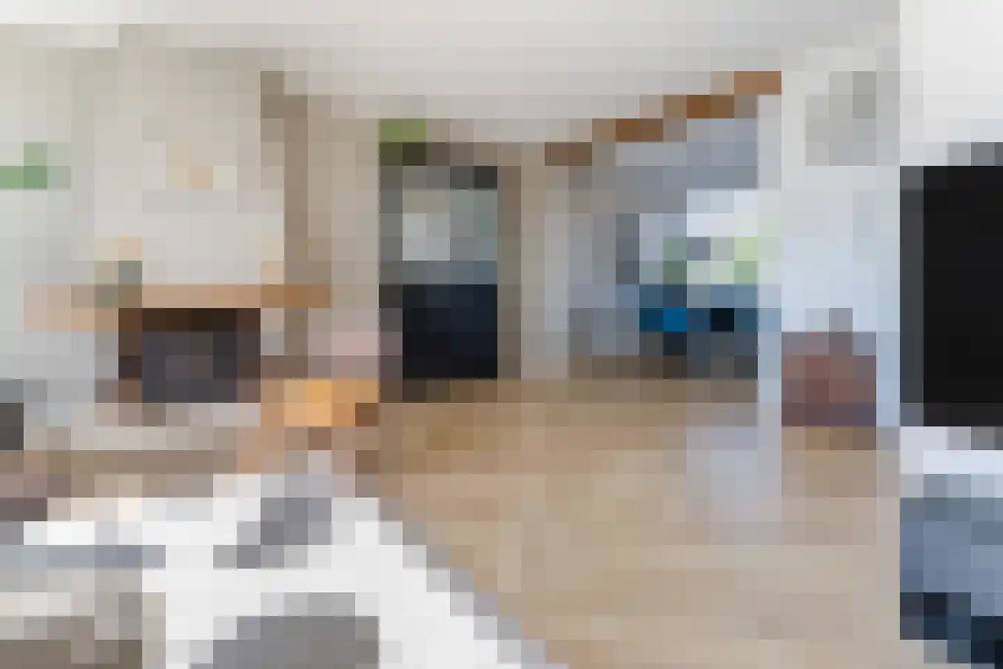 Kemphaanstraat 44 Wormer thumbnail 12