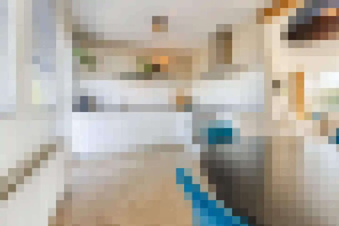 Kemphaanstraat 44 Wormer thumbnail 16