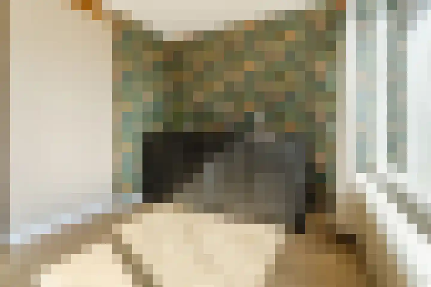 Kemphaanstraat 44 Wormer thumbnail 24