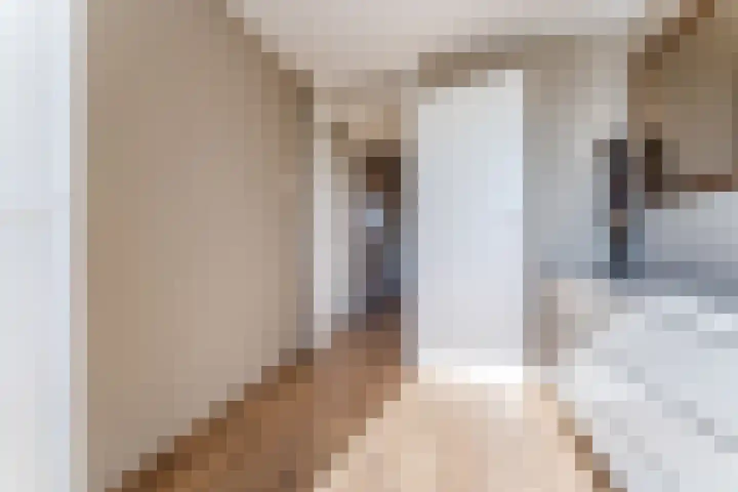 Kemphaanstraat 44 Wormer thumbnail 29
