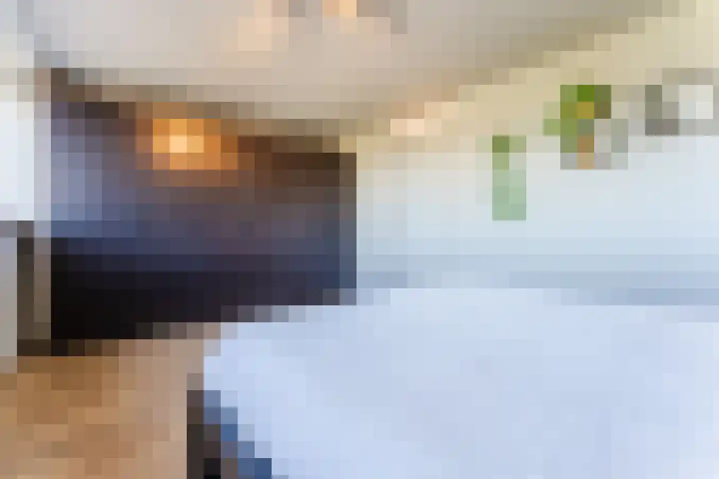 Kemphaanstraat 44 Wormer thumbnail 33
