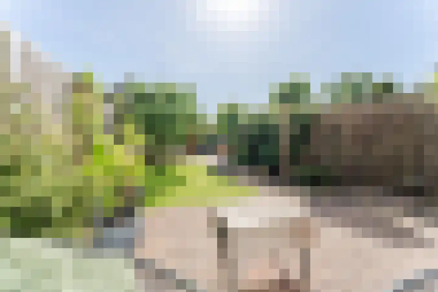 Kemphaanstraat 44 Wormer thumbnail 42
