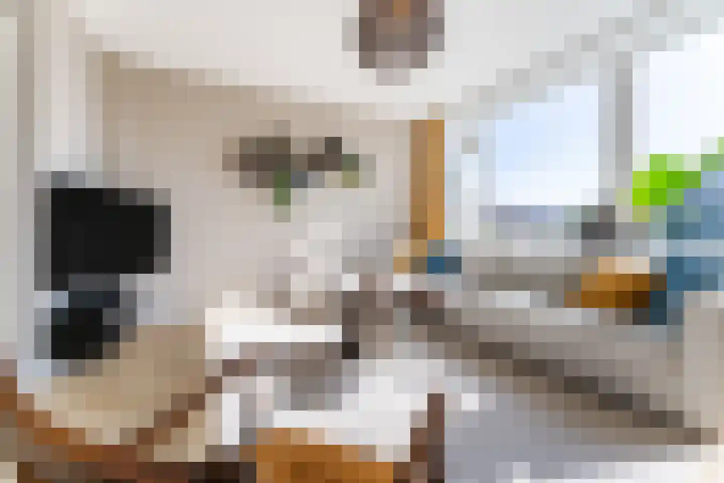 Kemphaanstraat 44 Wormer thumbnail 8