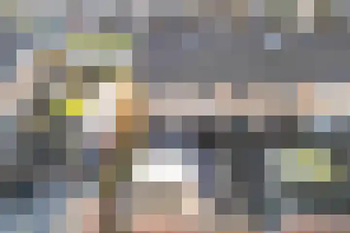 Kemphaanstraat 51 Heerenveen thumbnail 36