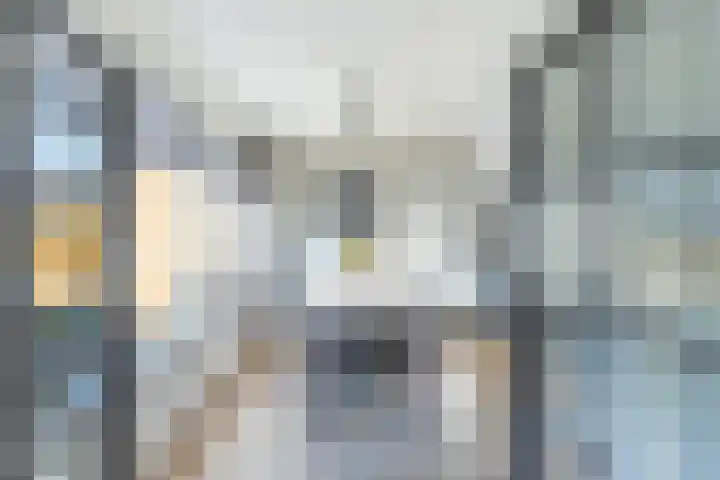 Kemphaanstraat 51 Heerenveen thumbnail 8