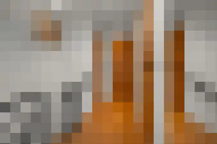 Kemphaanstraat 6 Wormer thumbnail 23