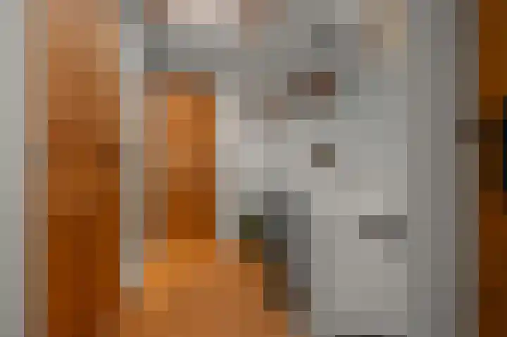 Kemphaanstraat 6 Wormer thumbnail 24