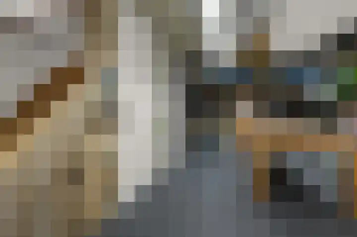 Kemphaanstraat 6 Wormer thumbnail 25