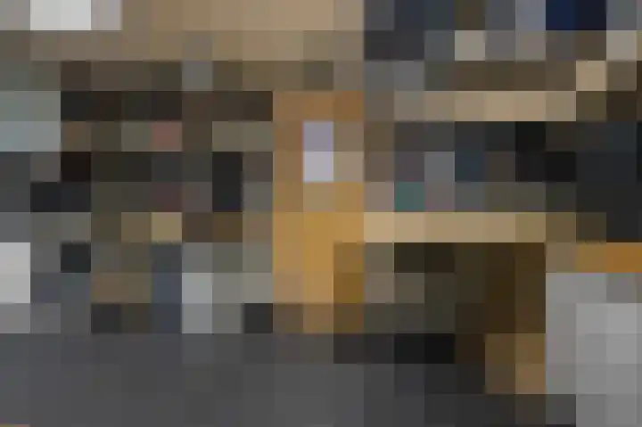 Kemphaanstraat 6 Wormer thumbnail 26