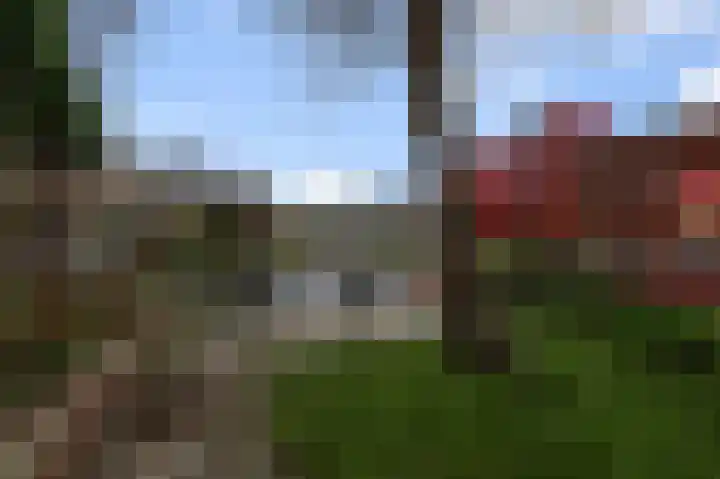 Kemphaanstraat 6 Wormer thumbnail 30