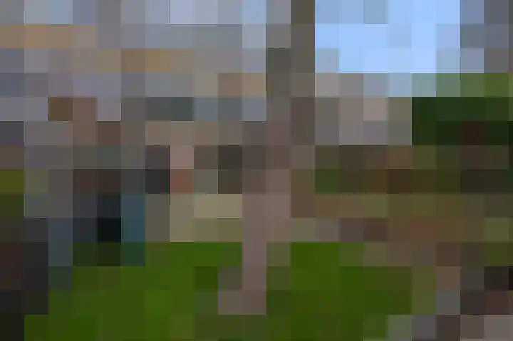 Kemphaanstraat 6 Wormer thumbnail 32