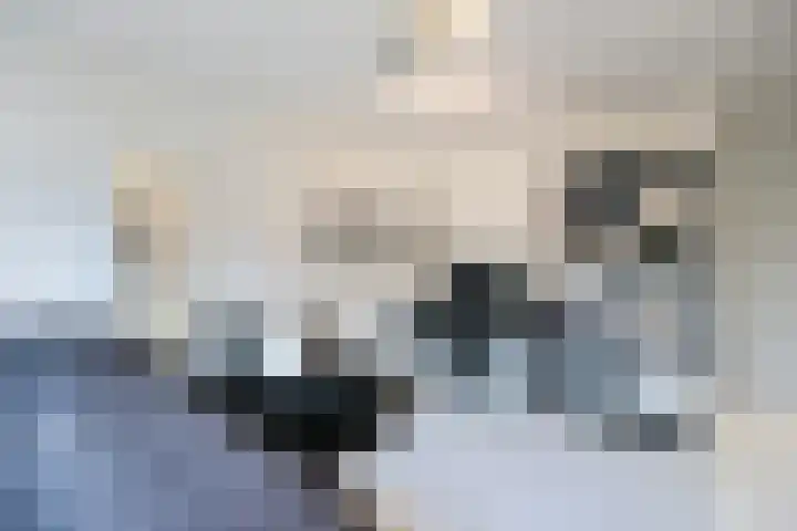 Kemphaanstraat 97 Wormer thumbnail 11