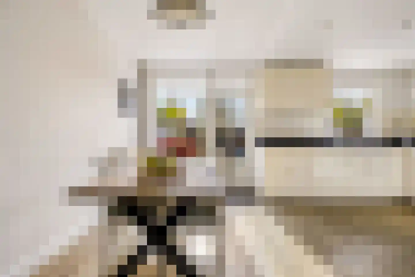 Kemphaanweide 24 Houten thumbnail 13