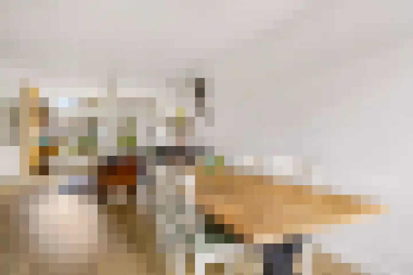 Kemphaanweide 24 Houten thumbnail 14
