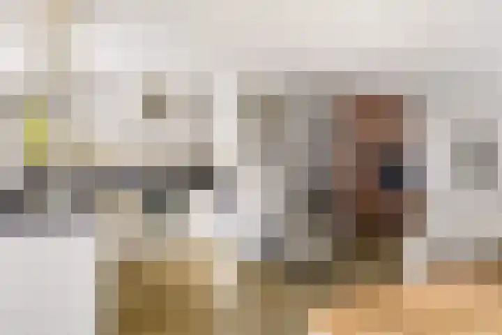 Kemphaanweide 24 Houten thumbnail 16
