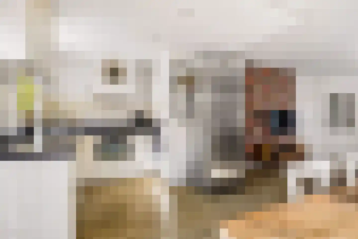 Kemphaanweide 24 Houten thumbnail 16