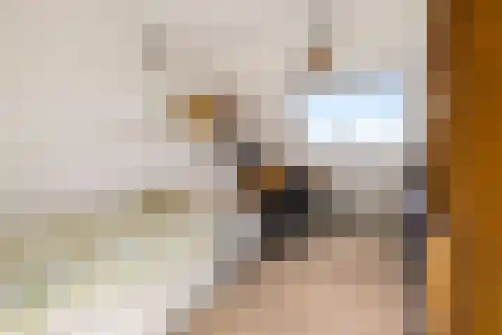 Kemphaanweide 24 Houten thumbnail 23