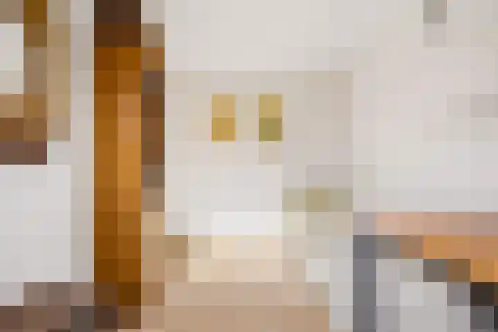 Kemphaanweide 24 Houten thumbnail 24
