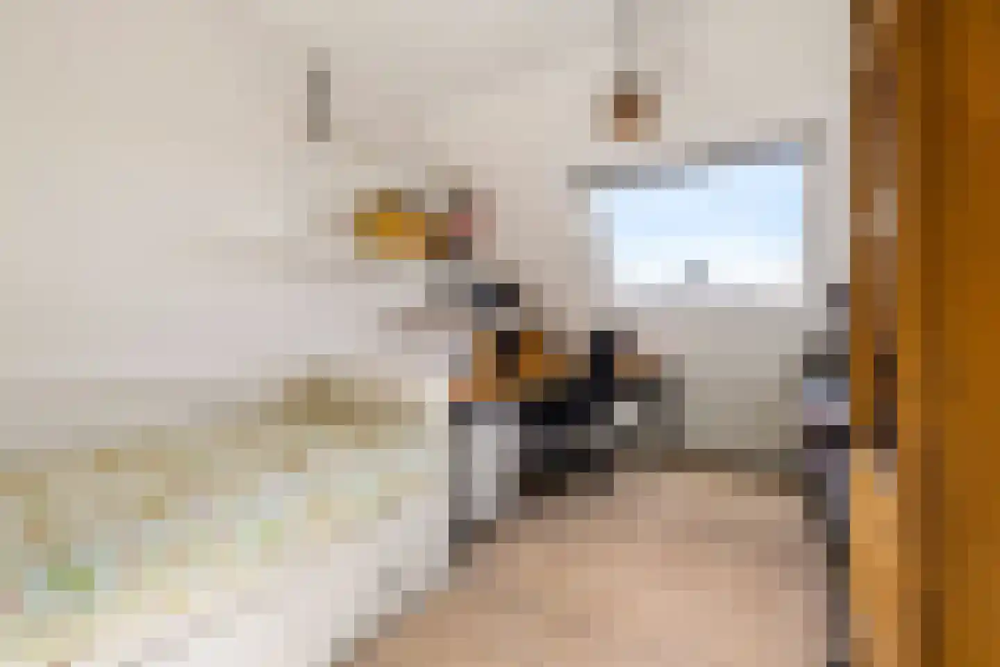 Kemphaanweide 24 Houten thumbnail 24