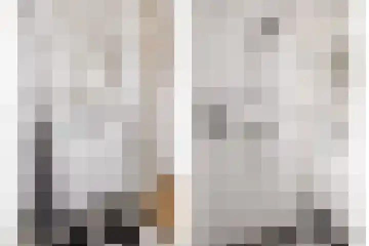 Kemphaanweide 24 Houten thumbnail 28
