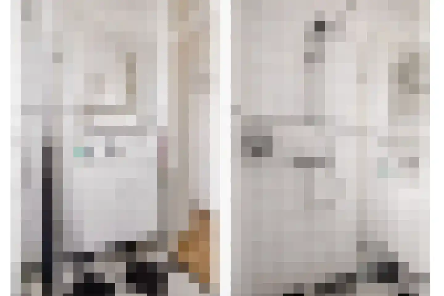 Kemphaanweide 24 Houten thumbnail 29