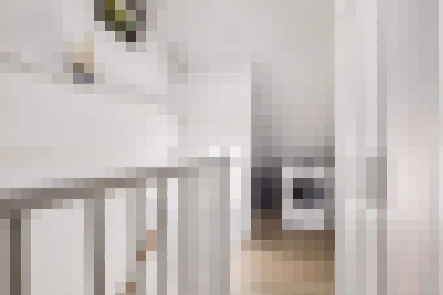 Kemphaanweide 24 Houten thumbnail 30
