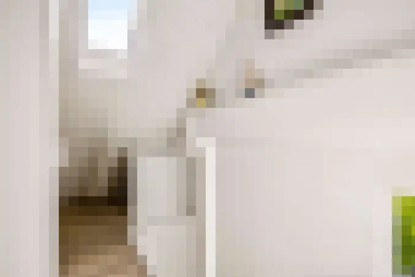 Kemphaanweide 24 Houten thumbnail 31