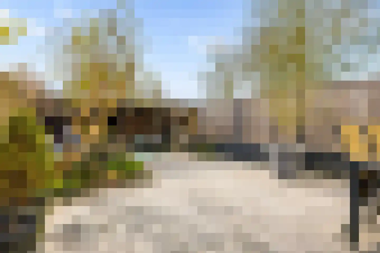 Kemphaanweide 24 Houten thumbnail 37