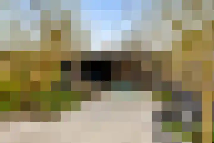 Kemphaanweide 24 Houten thumbnail 38