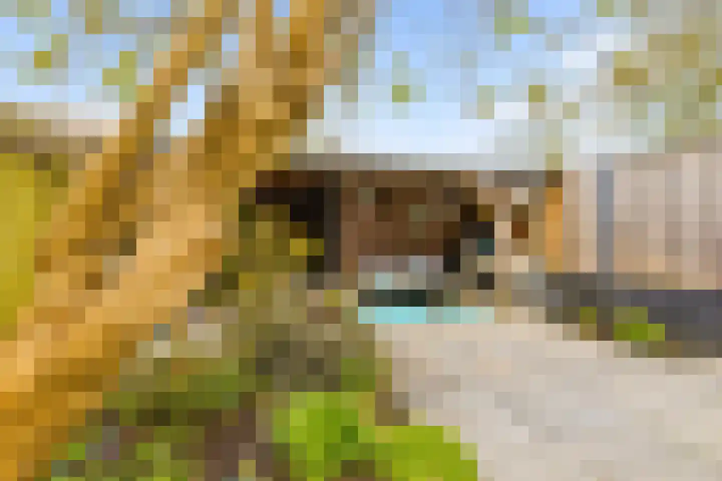 Kemphaanweide 24 Houten thumbnail 38