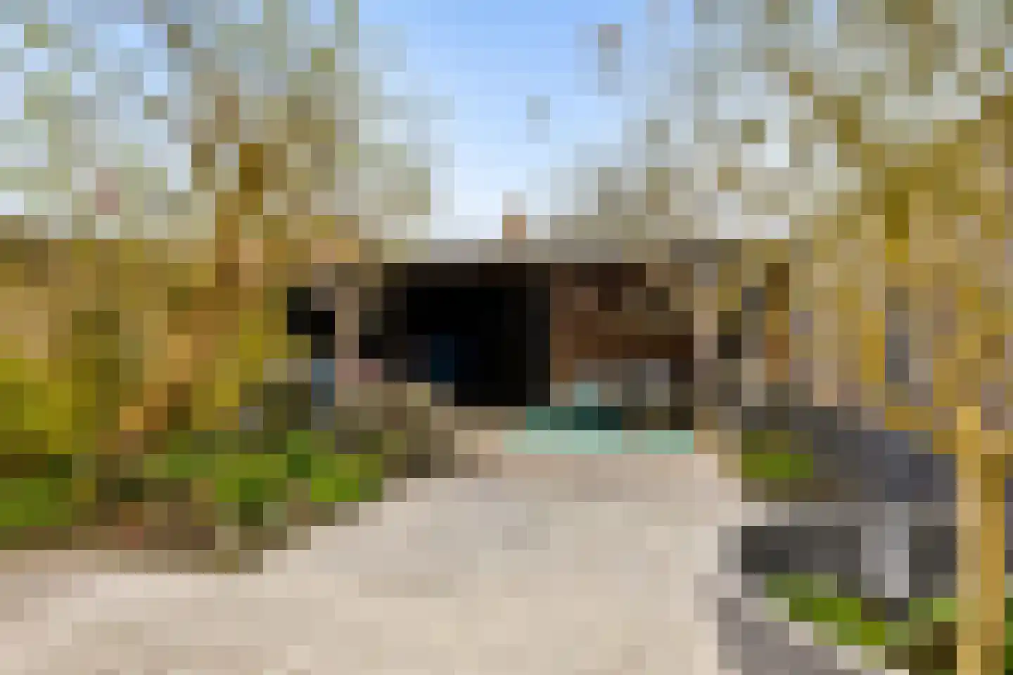 Kemphaanweide 24 Houten thumbnail 39
