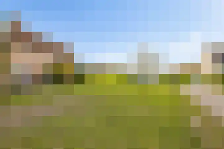 Kemphaanweide 24 Houten thumbnail 40