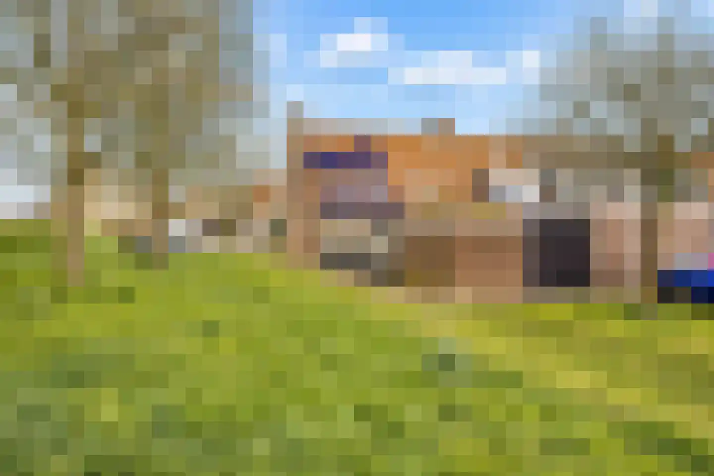 Kemphaanweide 24 Houten thumbnail 43