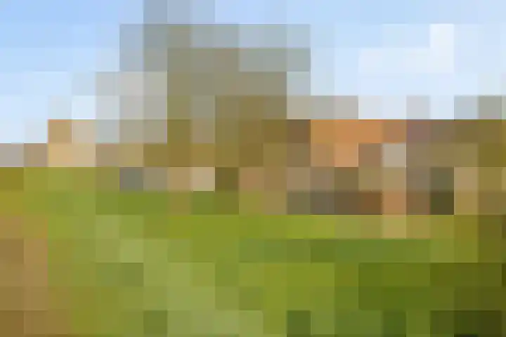 Kemphaanweide 24 Houten thumbnail 43