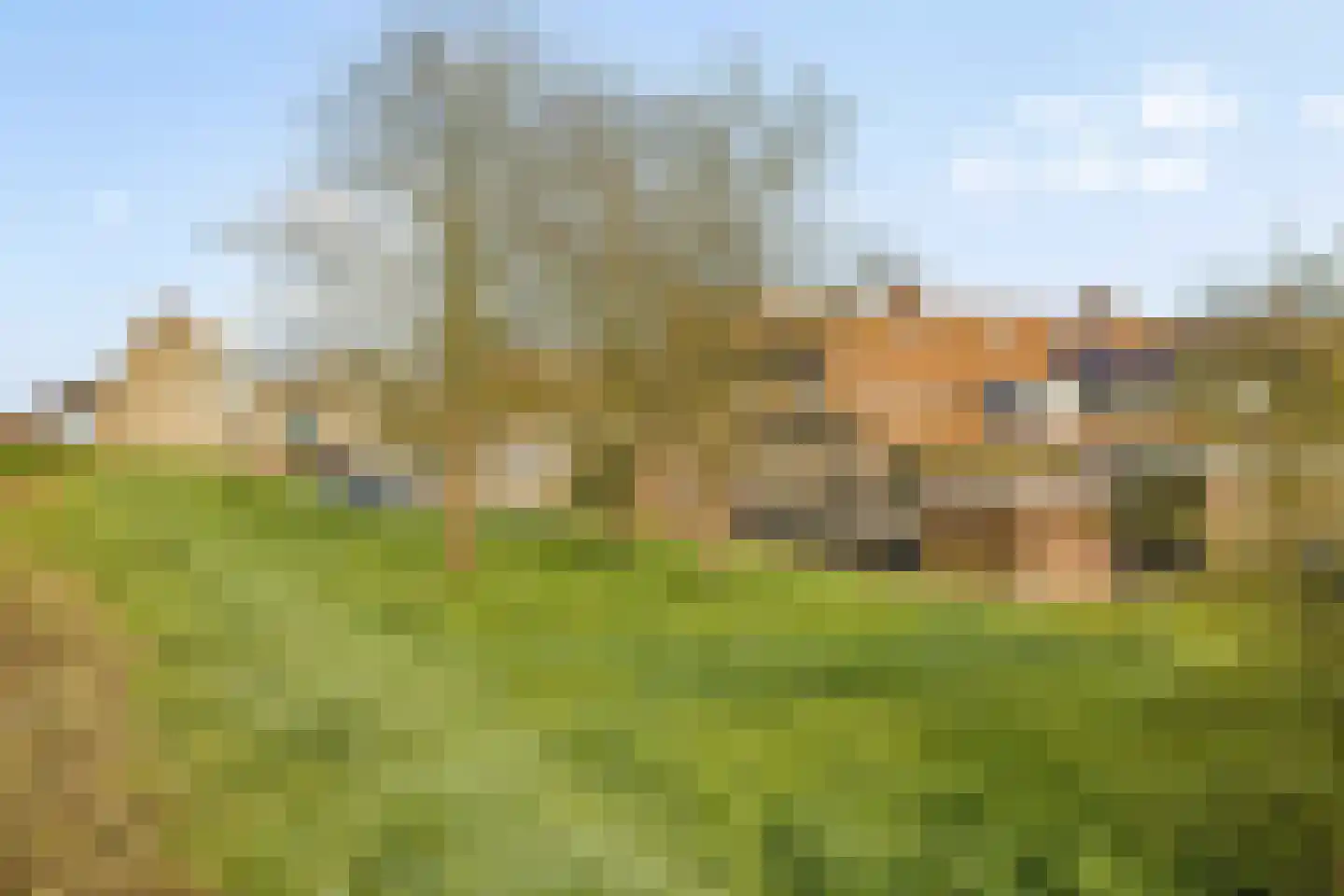 Kemphaanweide 24 Houten thumbnail 44