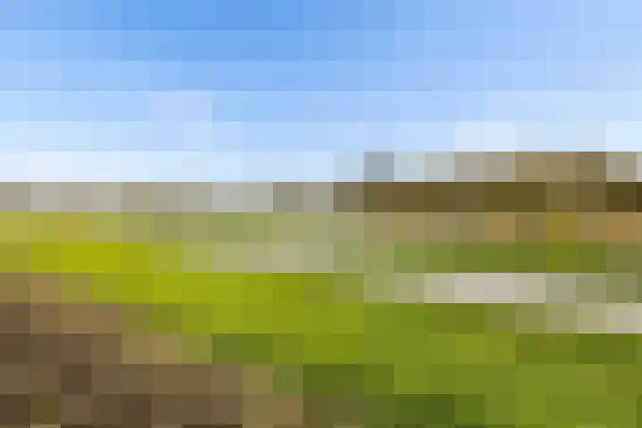 Kemphaanweide 24 Houten thumbnail 44