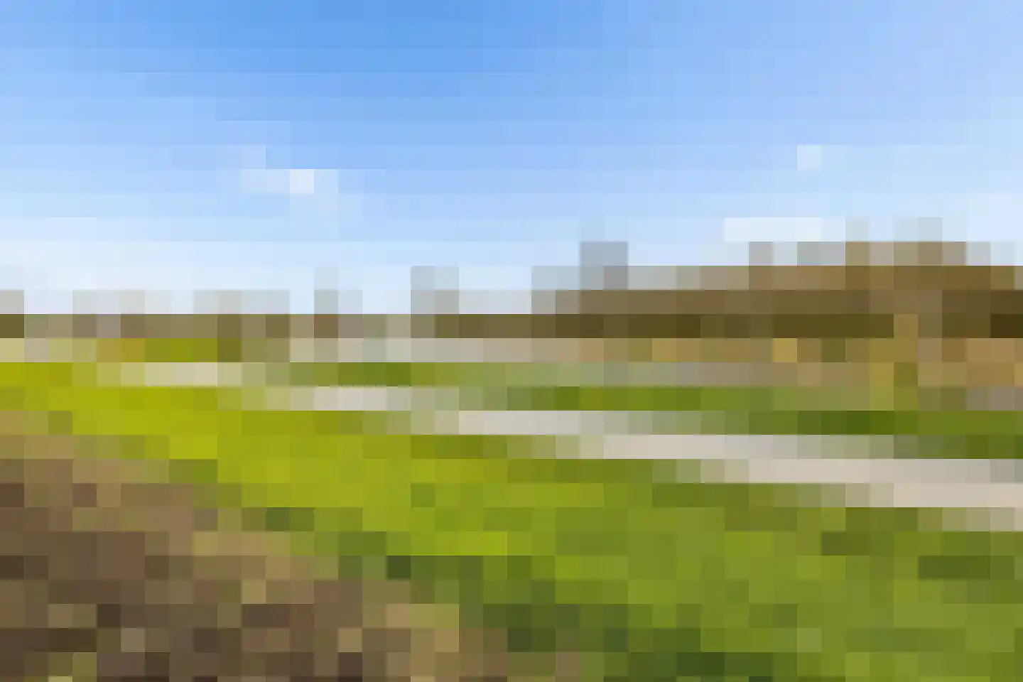 Kemphaanweide 24 Houten thumbnail 45