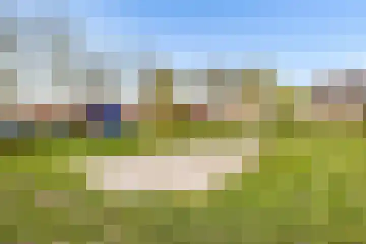 Kemphaanweide 24 Houten thumbnail 46
