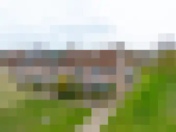 Kemphaanweide 24 Houten thumbnail 47