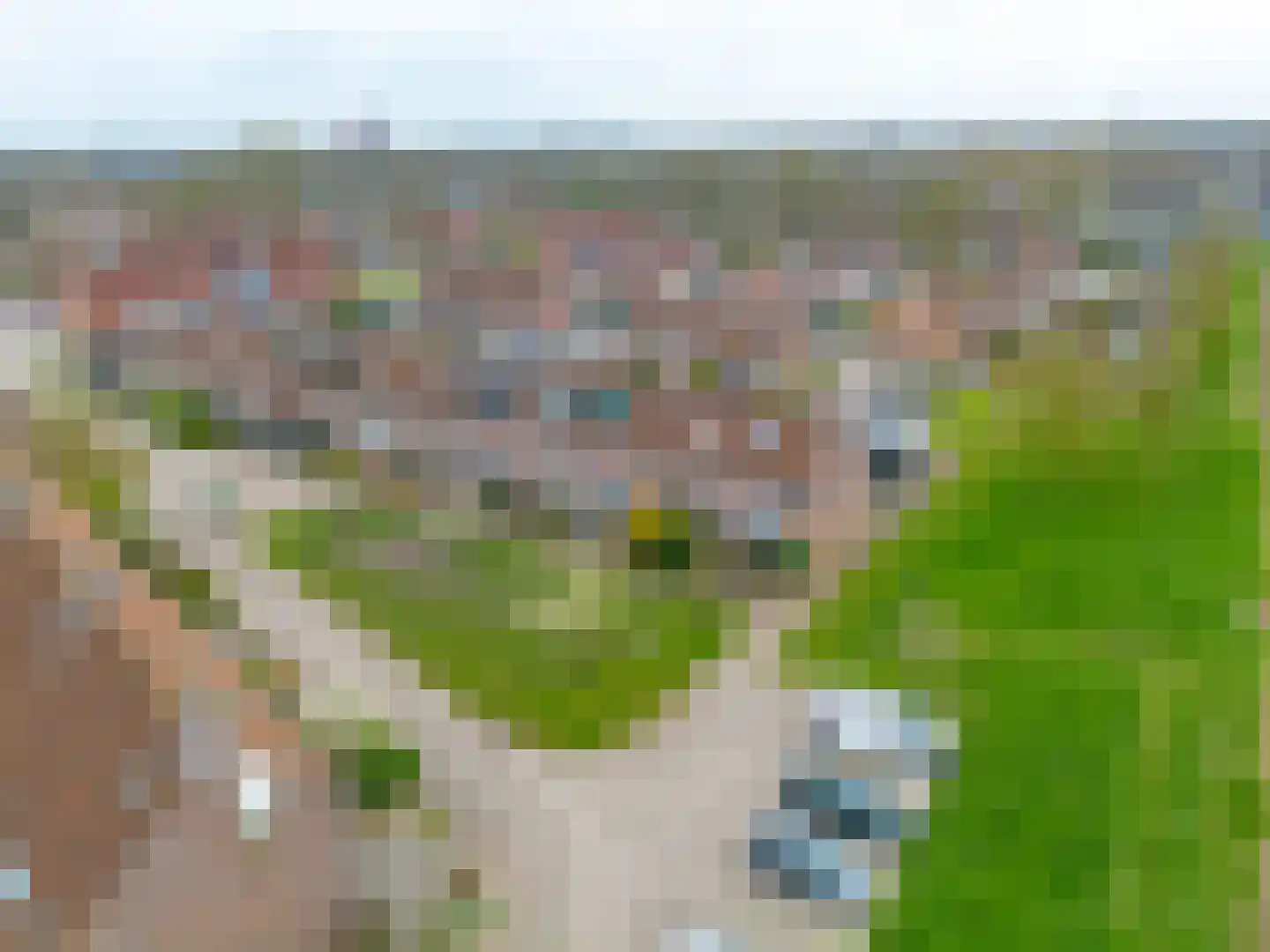 Kemphaanweide 24 Houten thumbnail 48