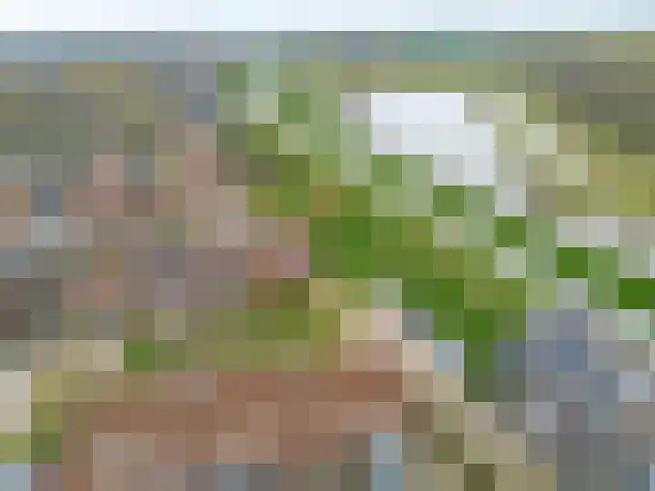 Kemphaanweide 24 Houten thumbnail 49