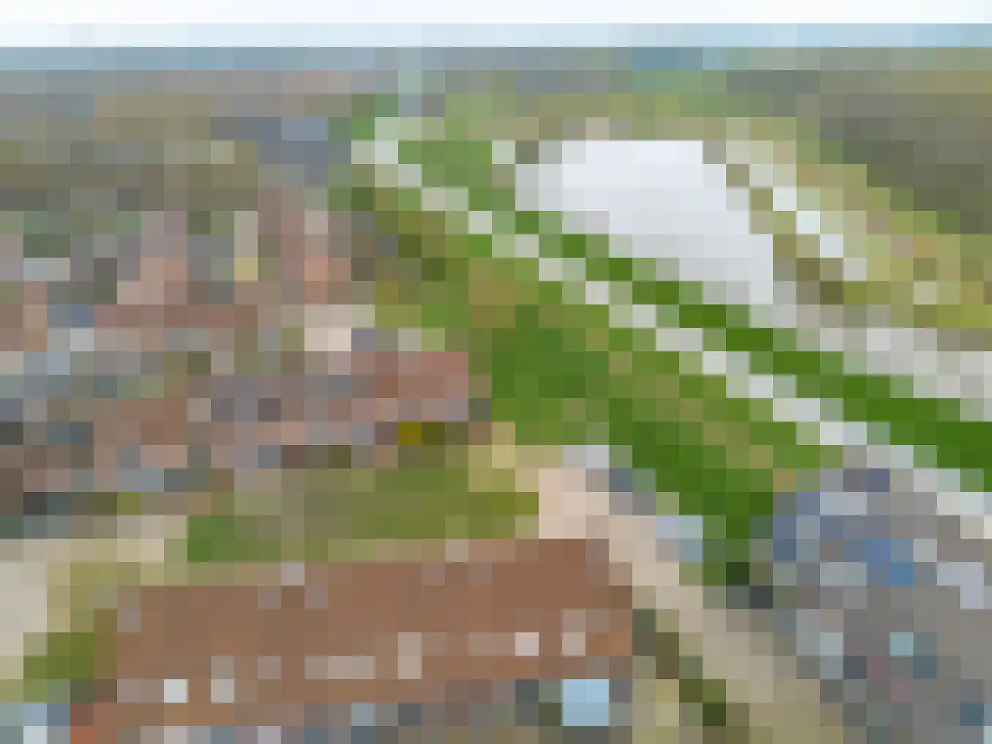 Kemphaanweide 24 Houten thumbnail 49