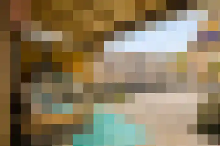 Kemphaanweide 24 Houten thumbnail 5