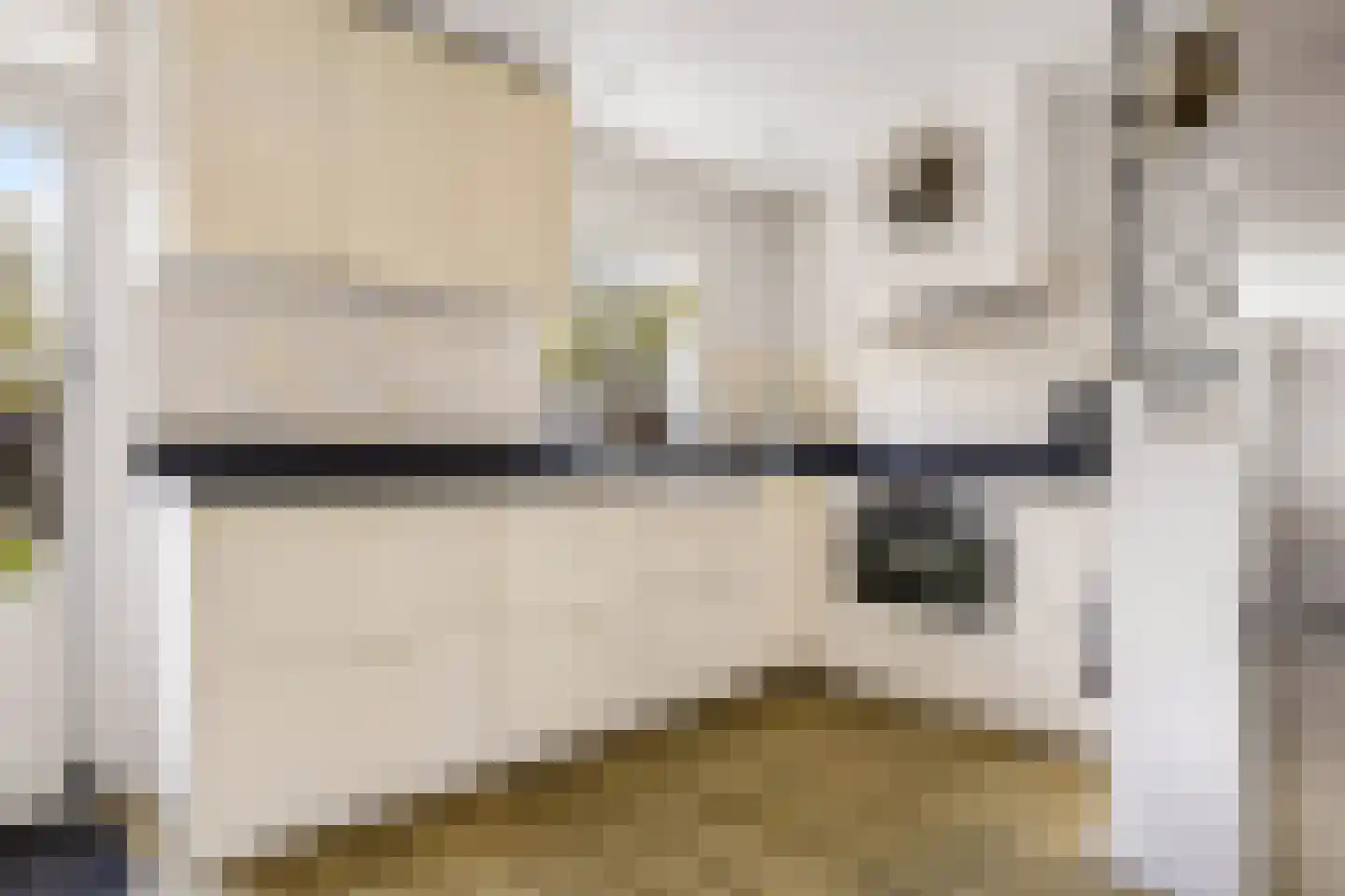 Kemphaanweide 24 Houten thumbnail 5