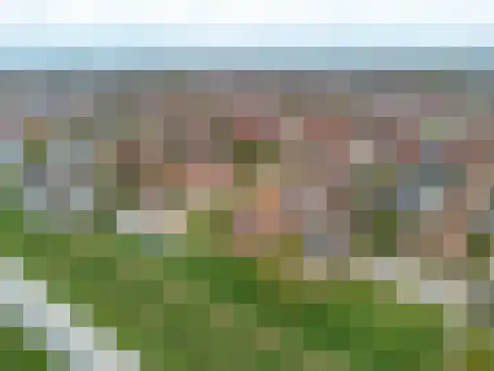 Kemphaanweide 24 Houten thumbnail 51