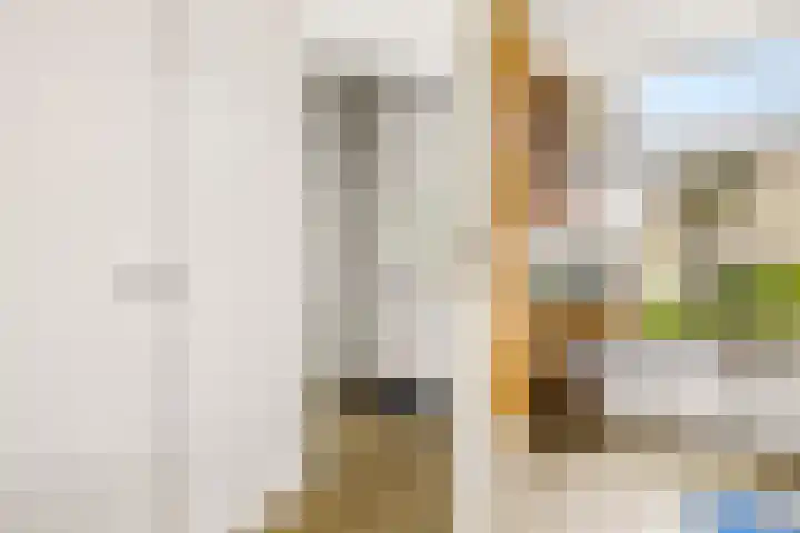 Kemphaanweide 24 Houten thumbnail 9