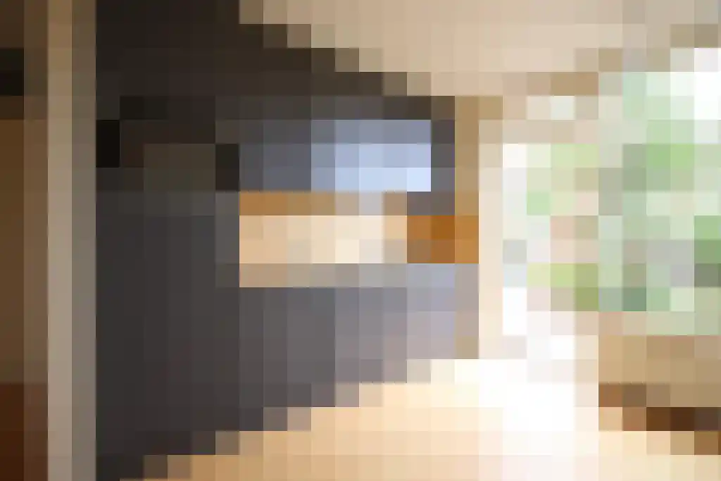 Kemphaanweide 6 Houten thumbnail 4