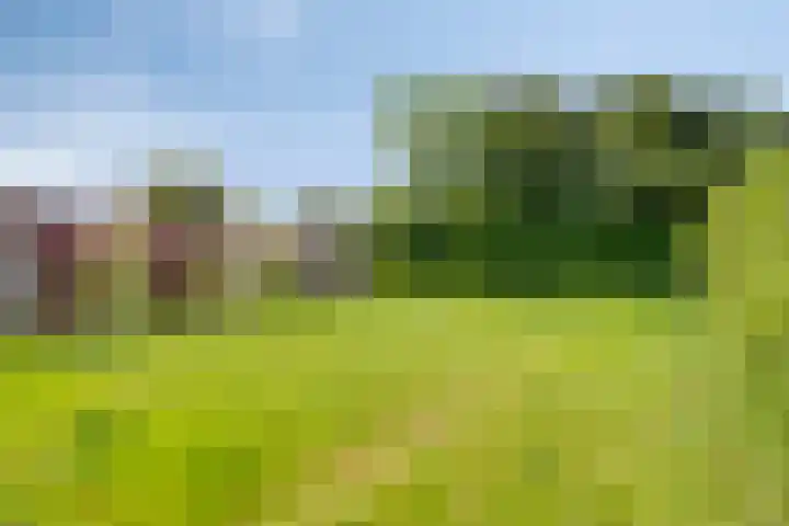 Kempischebaan 113 Valkenswaard thumbnail 24