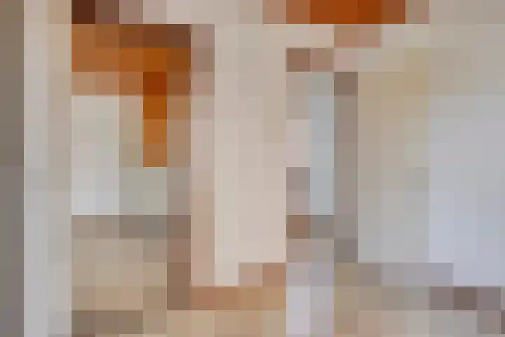 Kempischebaan 113 Valkenswaard thumbnail 8