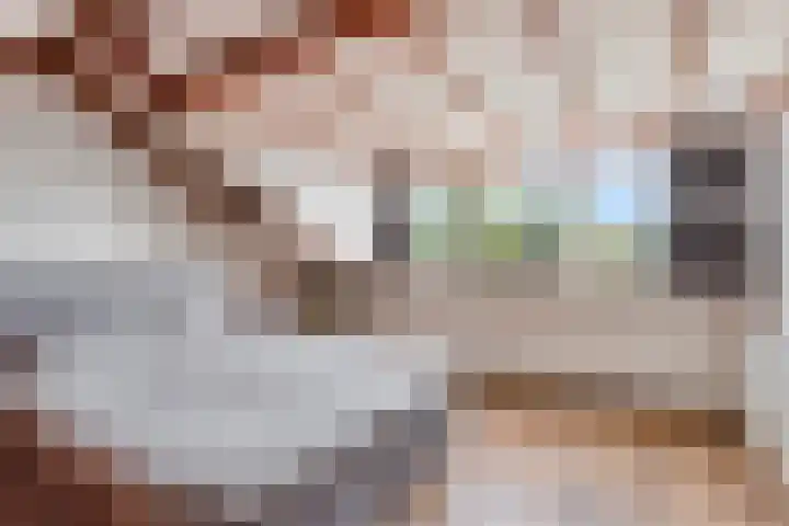 Kempischebaan 162 Valkenswaard thumbnail 33